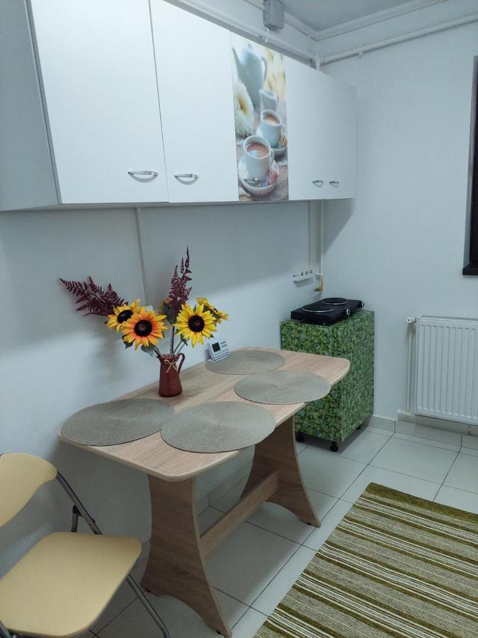 Apartament Octav 德瓦 外观 照片