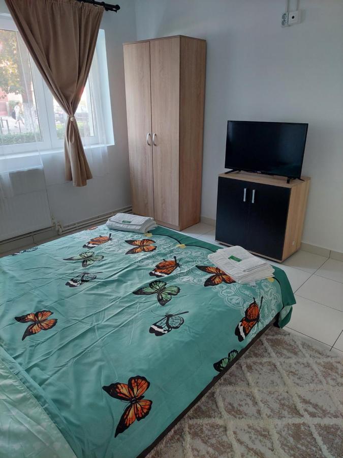 Apartament Octav 德瓦 外观 照片
